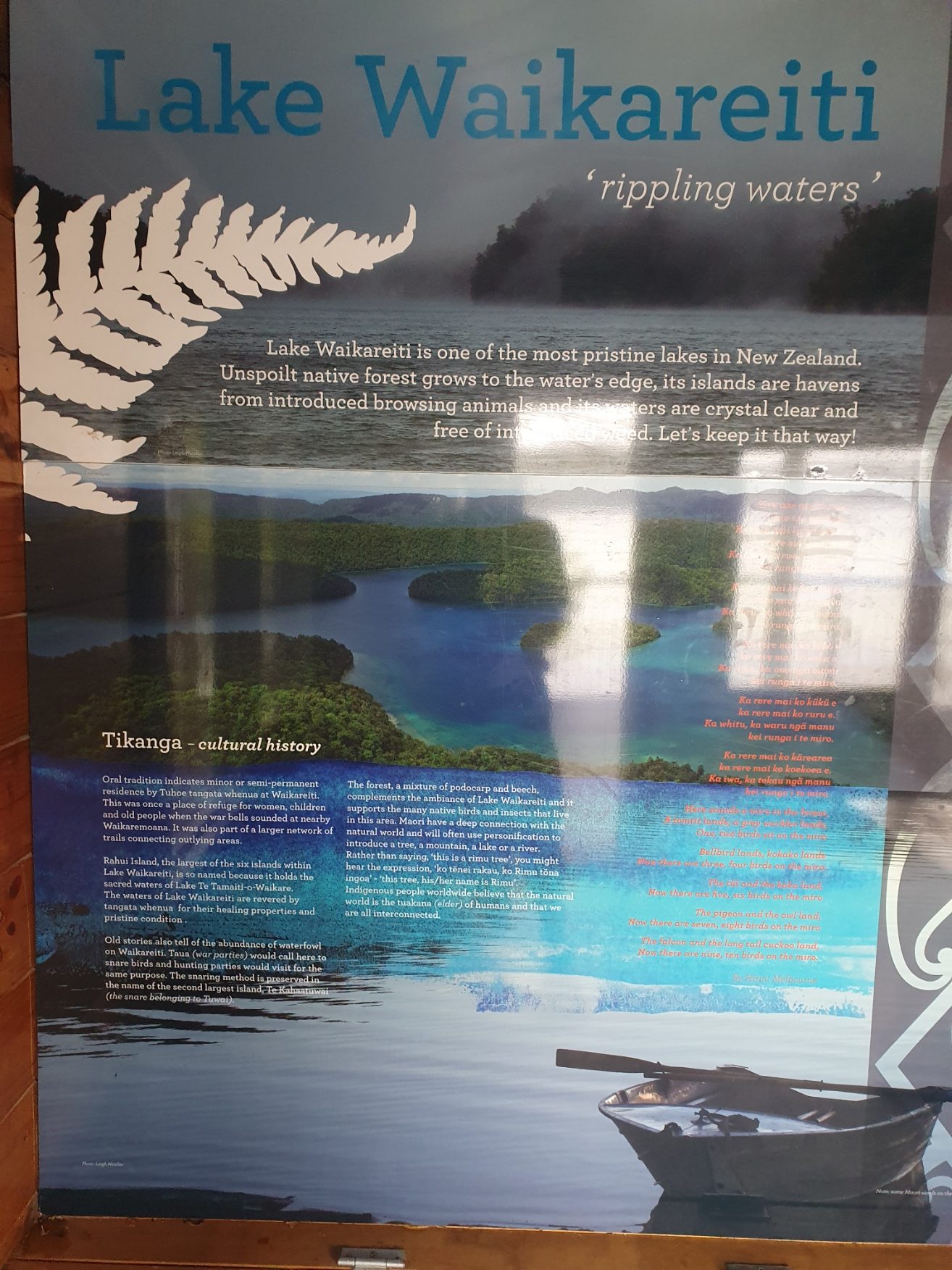 10. Blog Nieuw-Zeeland: Te Urewera National Park - Dilemma's