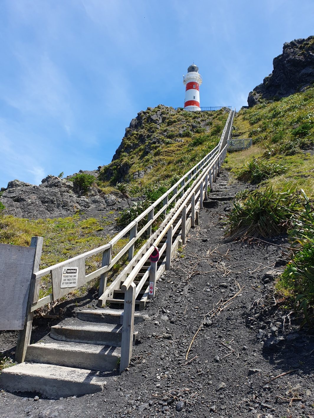 14b. Blog Nieuw-Zeeland: Exploring Windy Wellington - maar ik kon het toch niet laten