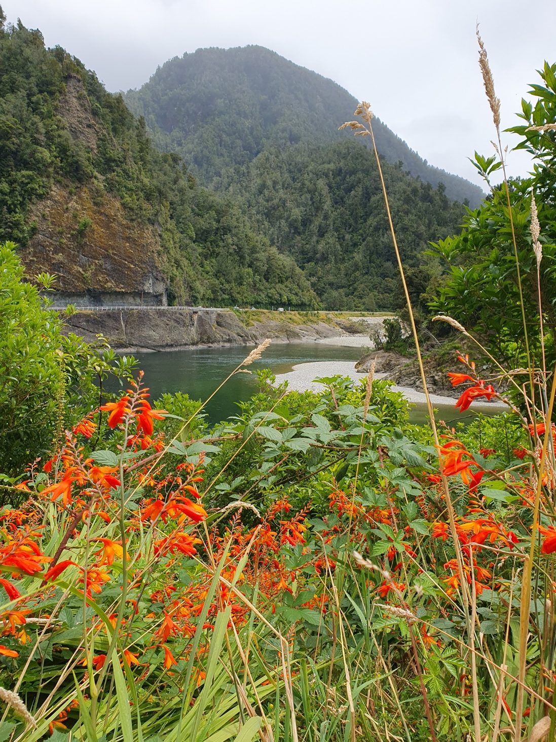 17. Blog Nieuw-Zeeland: Abel Tasman National Park - De vakantielokatie voor veel Nieuw-Zeelanders